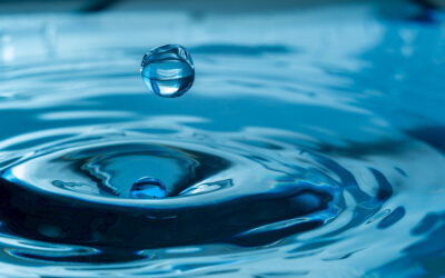 Levée des restrictions relatives à la consommation d&rsquo;eau