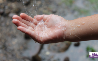 Intelligent use of rainwater