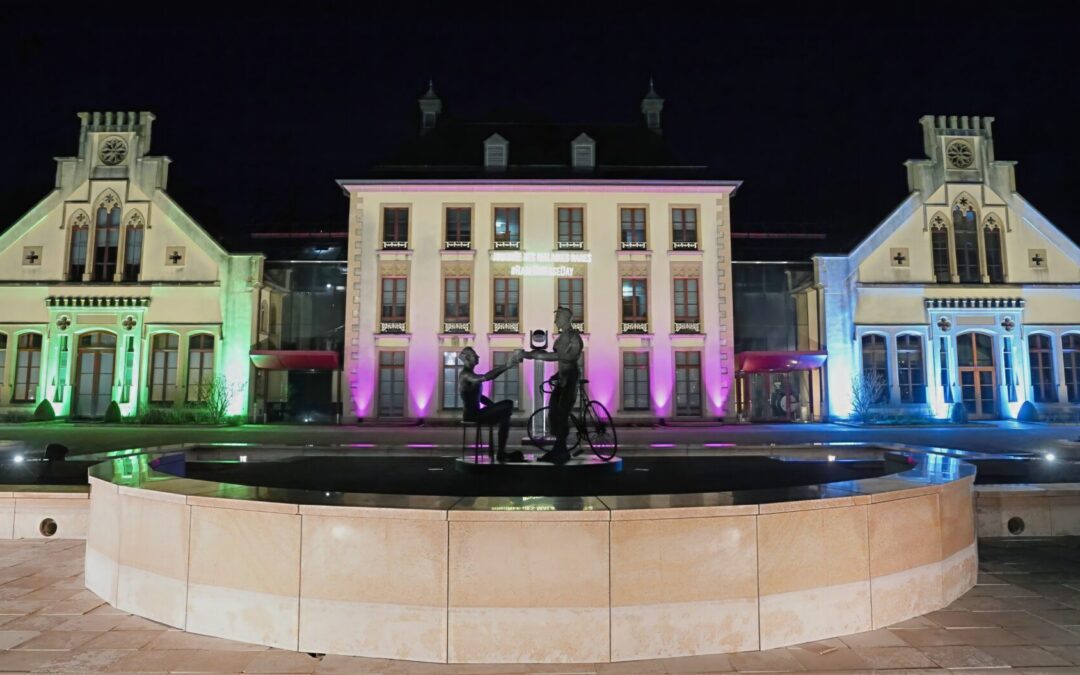 Le Mamer Schlass illuminé aux couleurs du « Rare Disease Day »