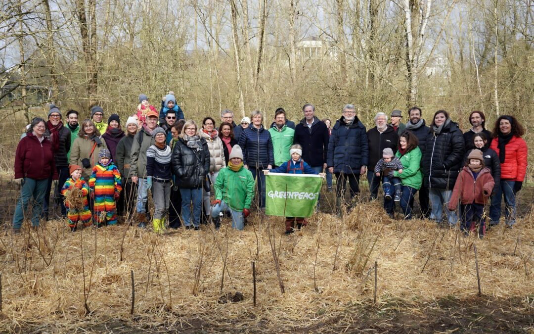 Une micro-forêt au parc Brill