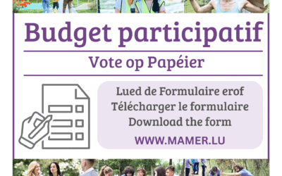 Budget participatif: votez sur formulaire papier