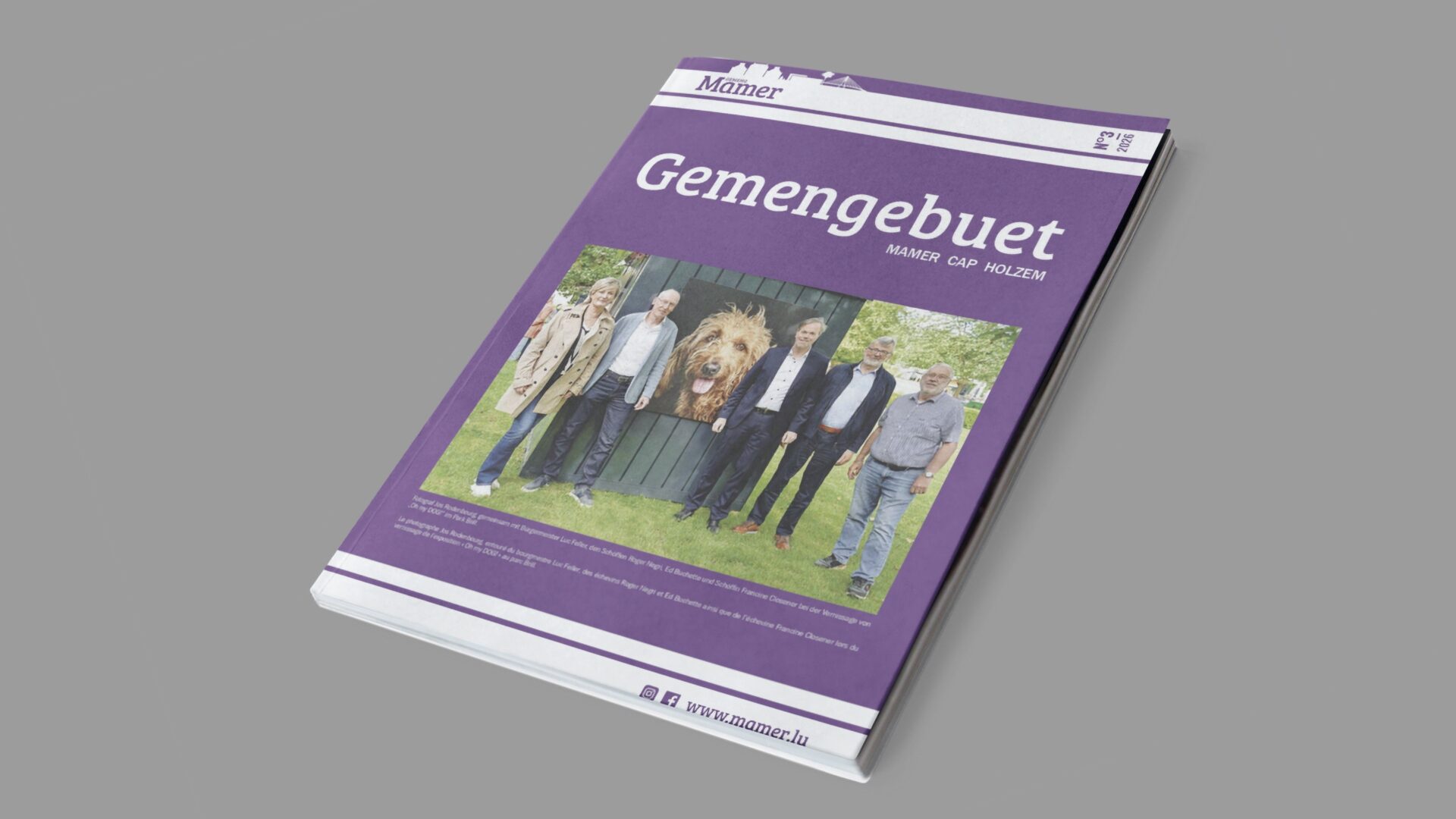 Gemengebuet 03/2026