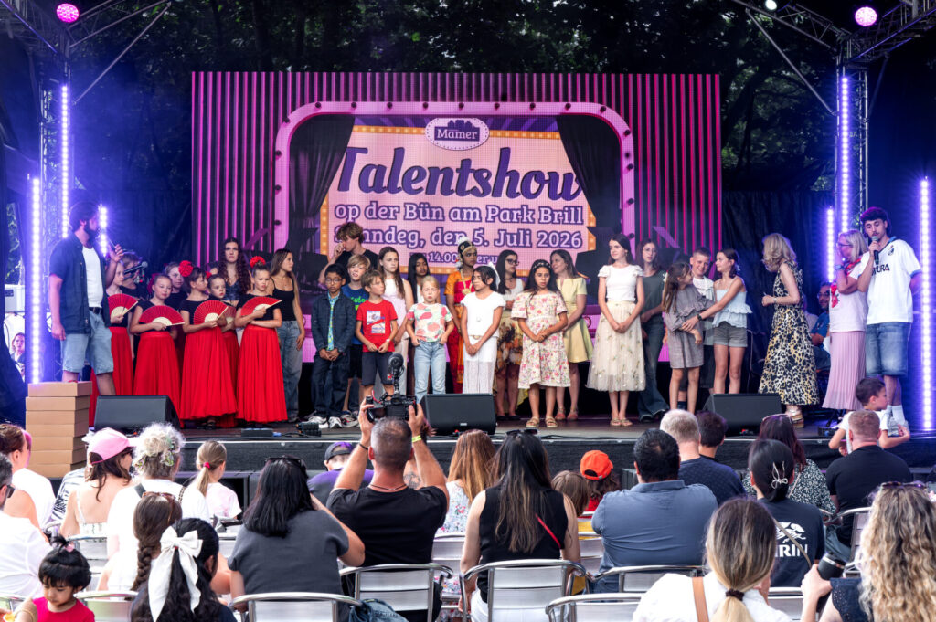 Talent Show at Brill Park