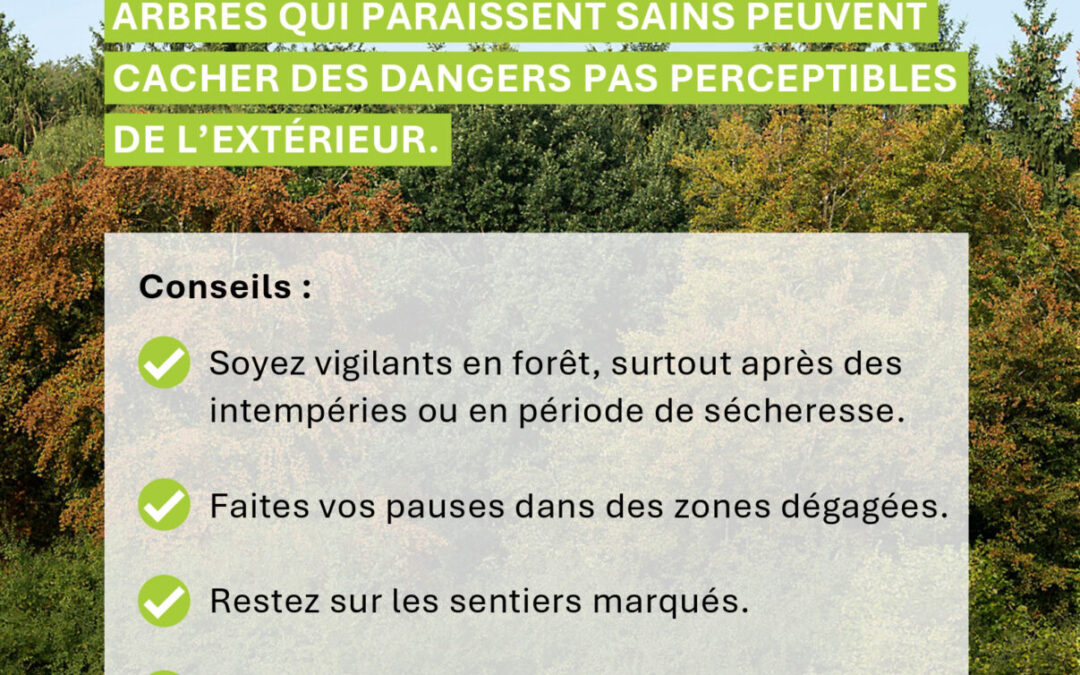 Sécheresse : vigilance renforcée en forêt
