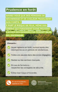 Sécheresse : vigilance renforcée en forêt