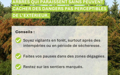 Sécheresse : vigilance renforcée en forêt