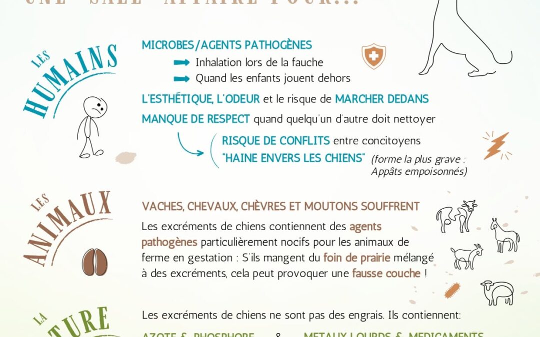 Déjections canines: Ramasser, c&rsquo;est respecter