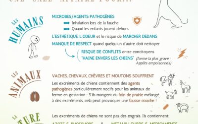 Déjections canines: Ramasser, c’est respecter