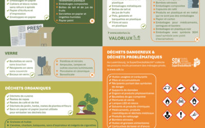 Bien trier ses déchets : les bons gestes au quotidien
