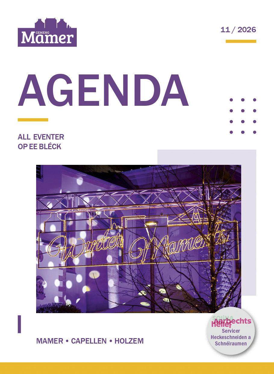Agenda November_MAMER_V3 1_page-0001_edited