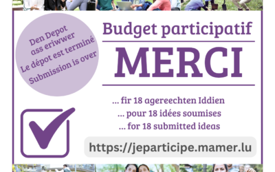 18 idées soumises au Budget participatif